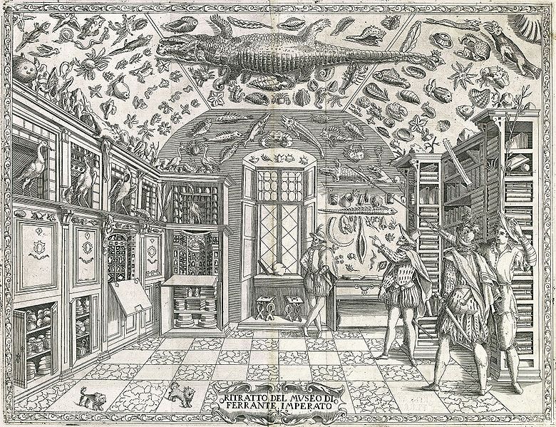 Engraving from Ferrante Imperato's Dell'Historia Naturale (Naples 1599), the earliest illustration of a natural history cabinet.