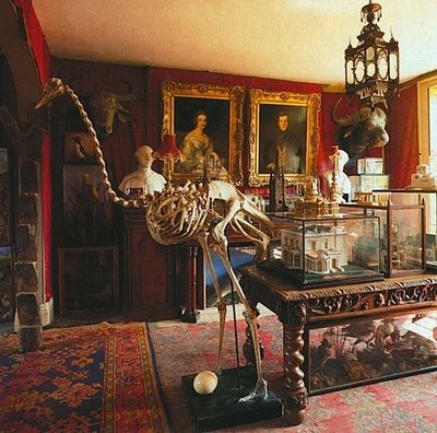 A skeletal ostrich stands in the bird room. Photo by James Mortimer.