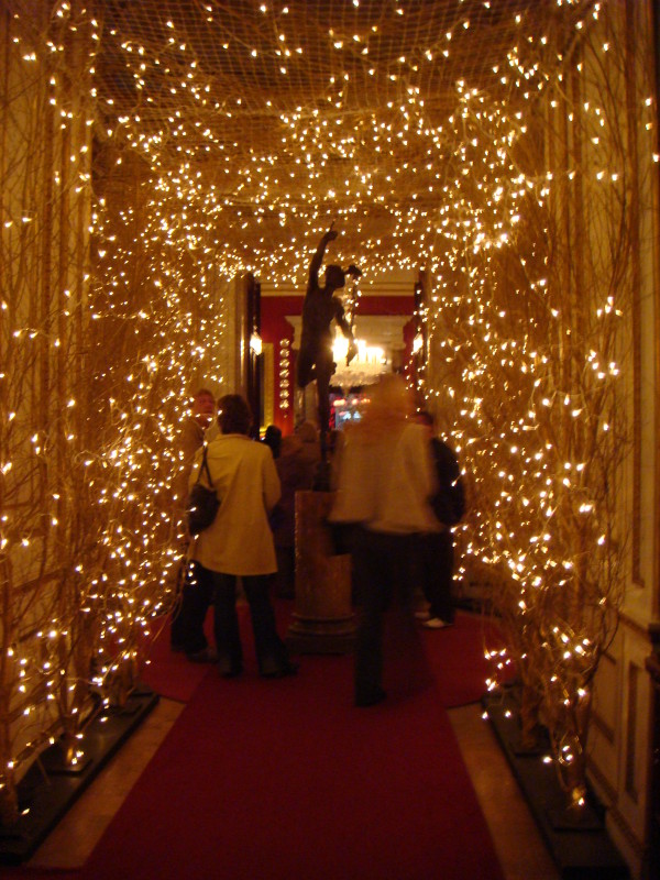 A passage hall decorated with "vines" of white lights.