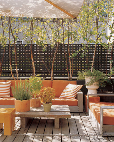 Designer Ray Booth and John Shea created a private oasis for the terrace of their home in the city. Photo by Eric Piasecki.